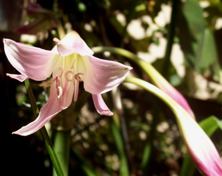 100_1129.JPG