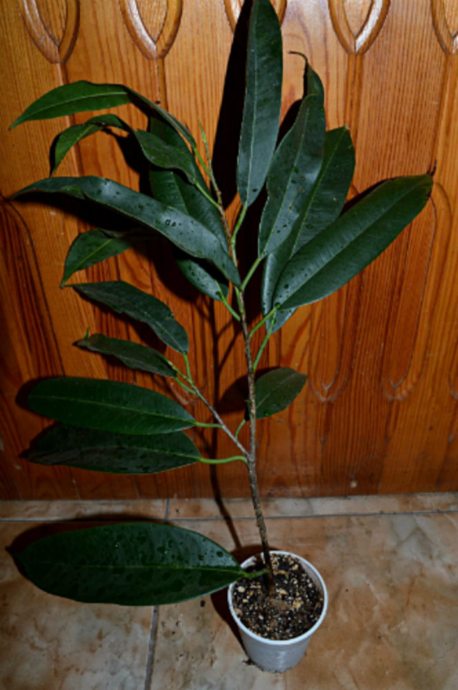 image (17).jpg