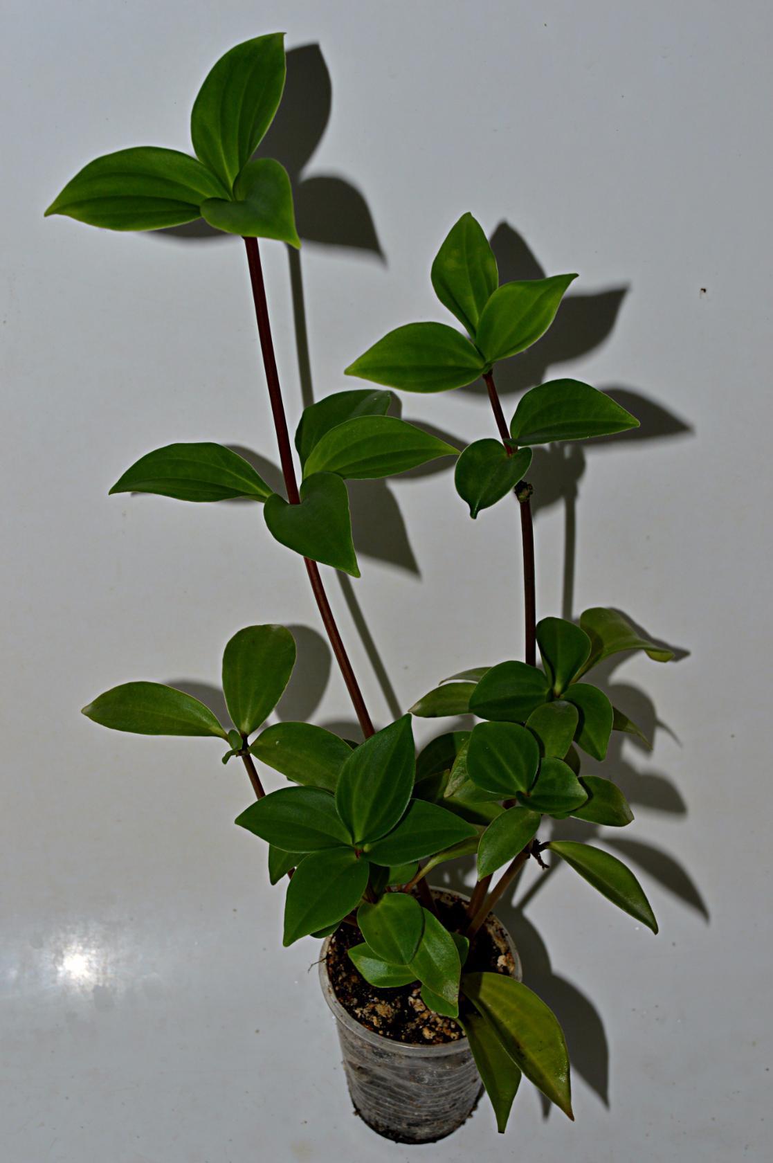 image (23).jpg