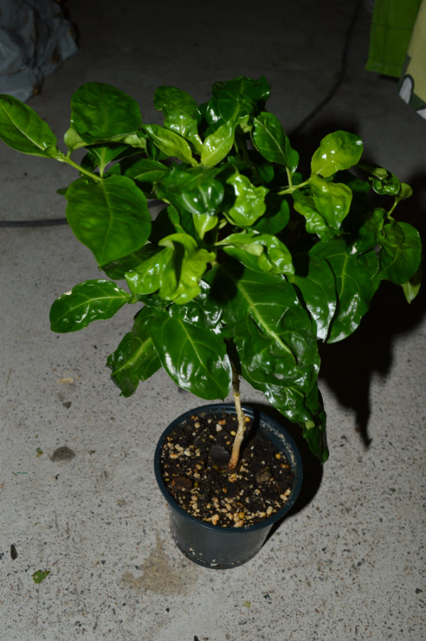 DSC_0123.JPG