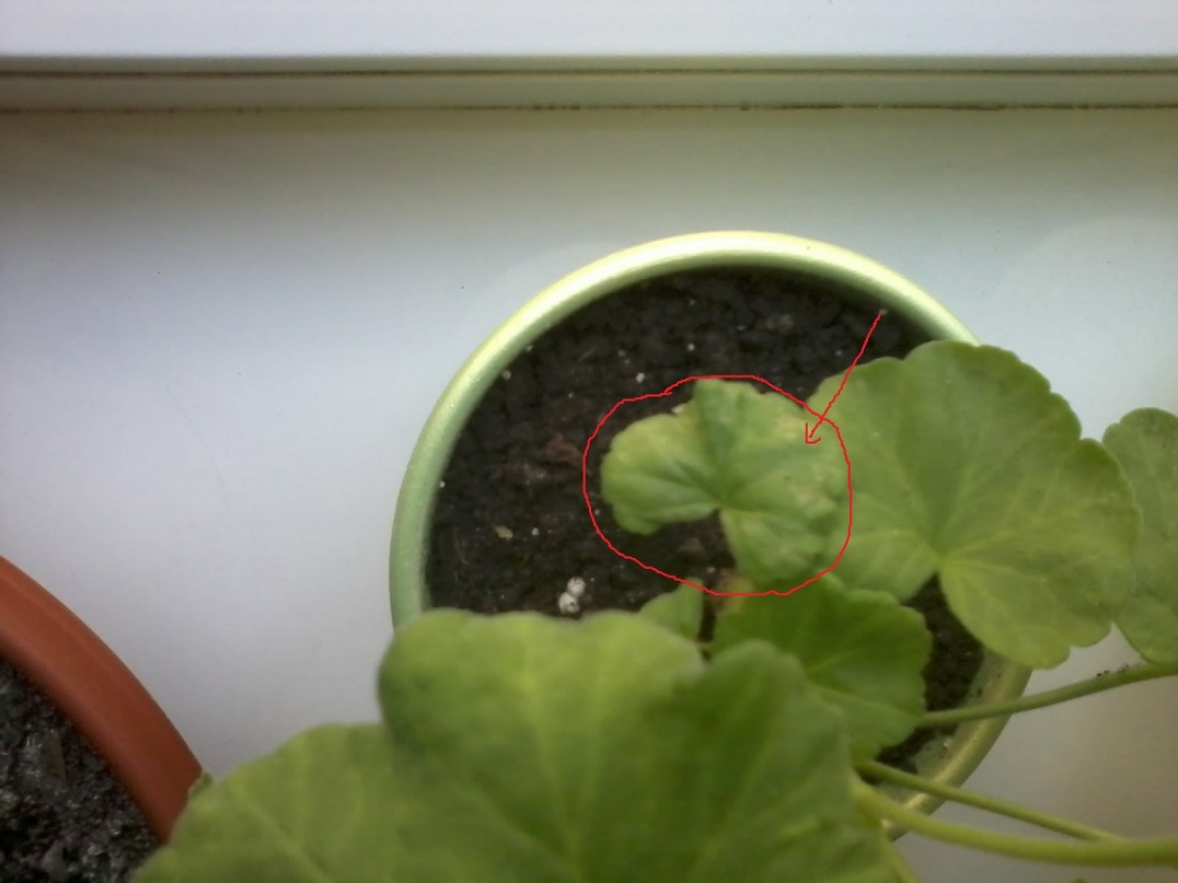 2012-01-13 13.06.45.jpg