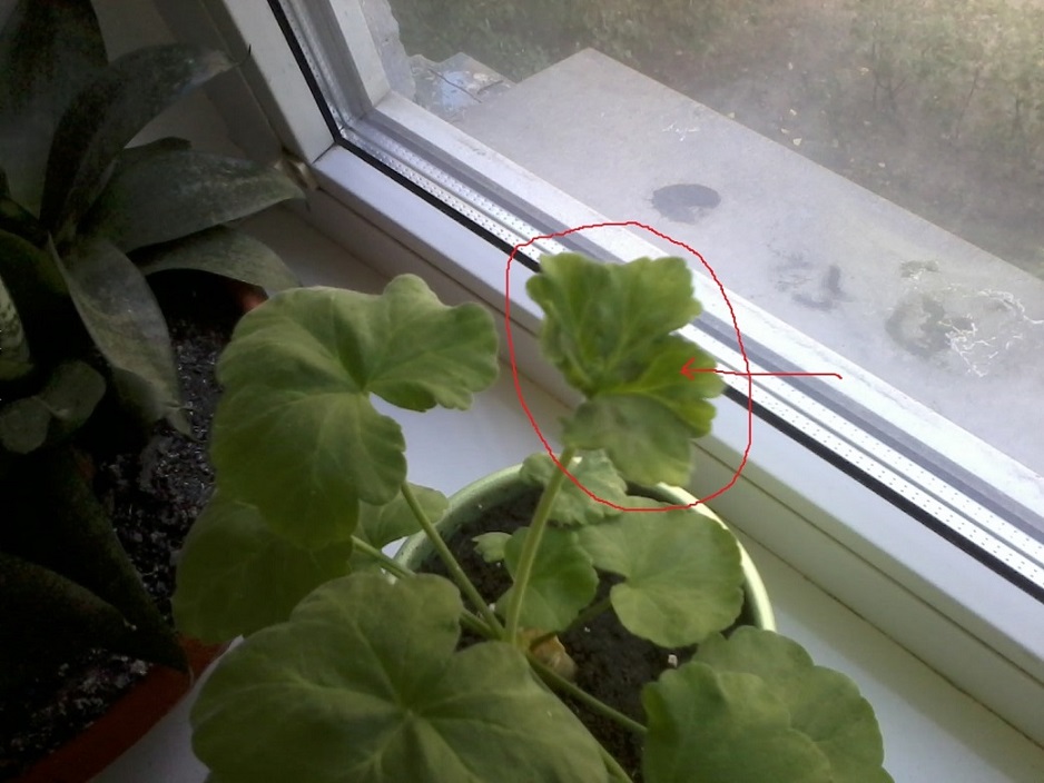 2012-01-13 13.06.35.jpg