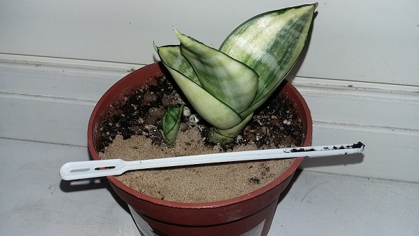 20150826_202549.jpg