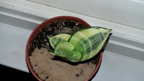 20150826_202526.jpg
