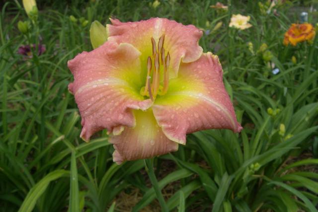 S73F0509.jpg