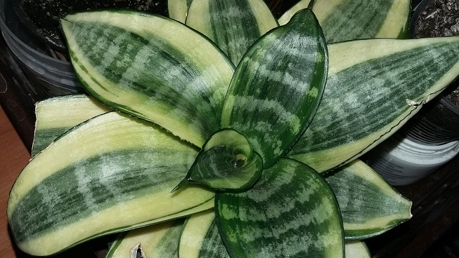 20150826_202533.jpg