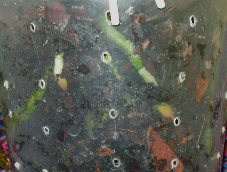 100_1201.JPG