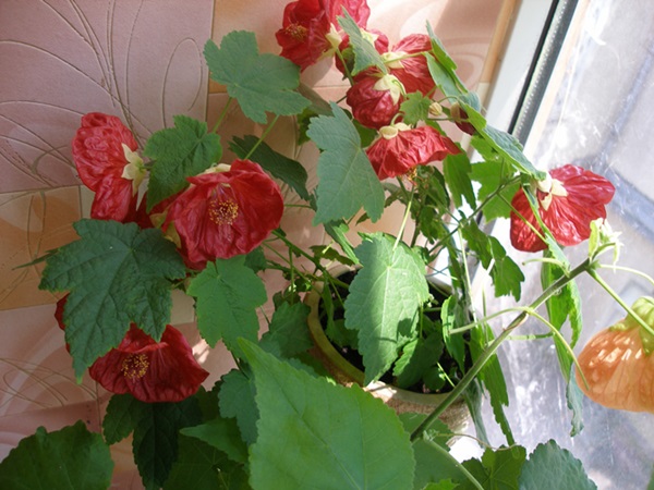 P1010375.JPG
