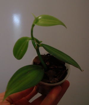 070_cr.jpg