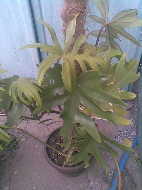 27092015656.jpg