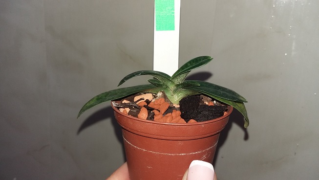 20150927_160556.jpg