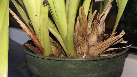 20151008_162925.jpg