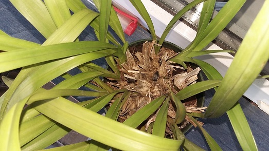 20151008_162854.jpg