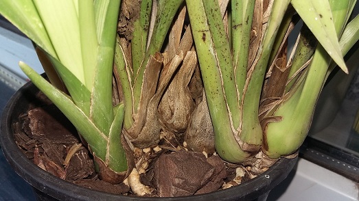 20151008_162757.jpg