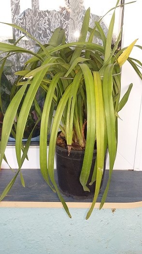 20151008_162742.jpg