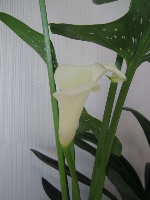 3b19d6e7a863.jpg