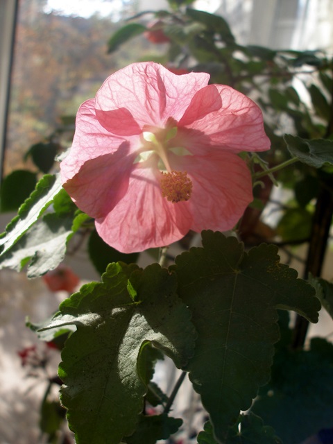 P1010465.JPG
