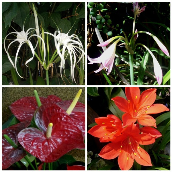 PicMonkey Collage.jpg