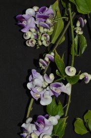 image (90).jpg