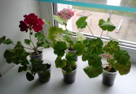 2015-10-24 14.12.53.jpg