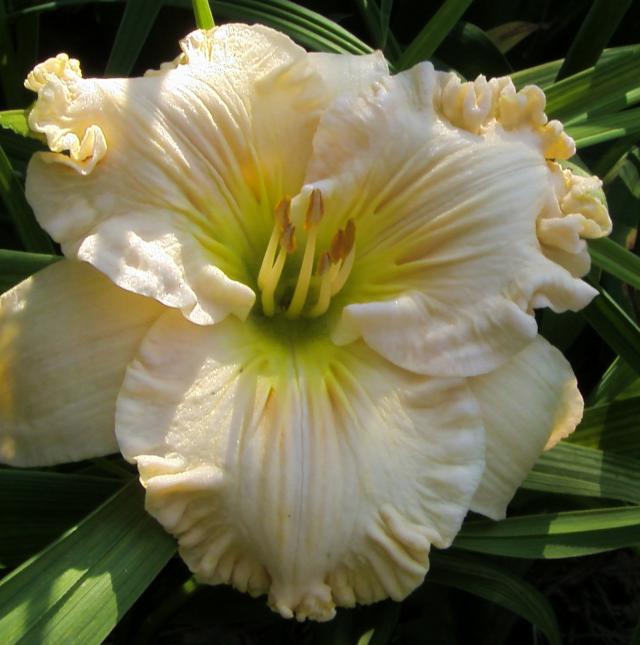 2015 г.jpg