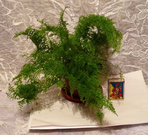image.jpg