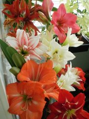 image (37).jpg