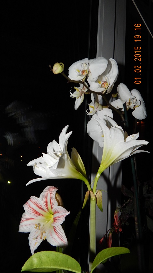 DSCN1825.JPG