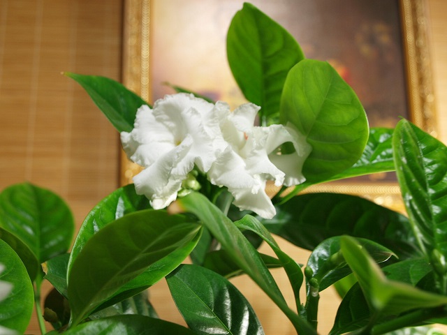 PC09781-4.jpg