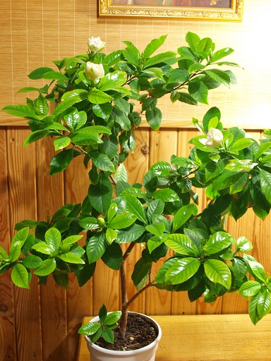 PC09780=9.jpg