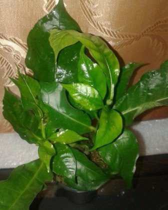 dpc9aZJ9gMo.jpg