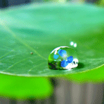 1316868582_avators-freeon270.gif