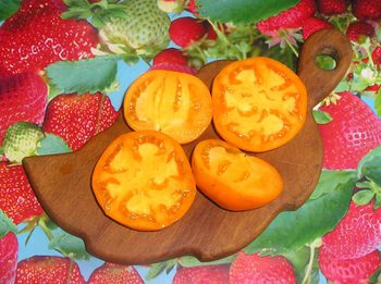 photo_qAQCKZxrJSW.jpg