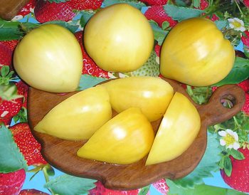 photo_nrROgrk3D4SVDL.jpg