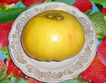 photo_6cD34ijGkqHcRjr.jpg