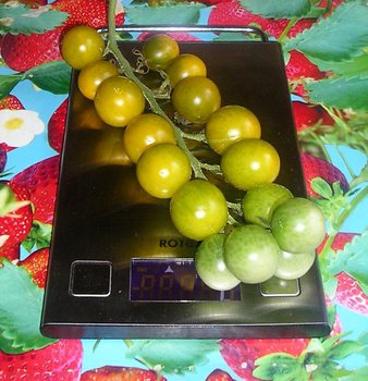 photo_KQZF6zqZE9r.jpg