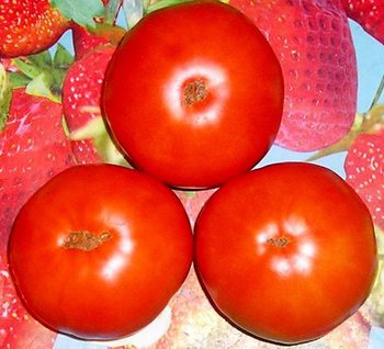 photo_MkUuTnpA0D3n.jpg