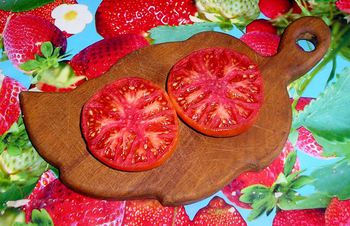 photo_sgTt5Pfk37NC.jpg