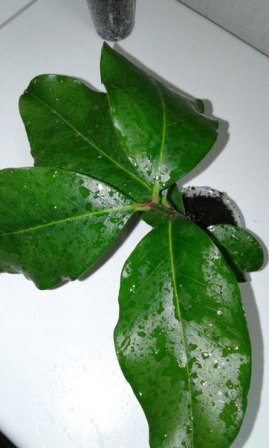 N2Z3pdo7pVc.jpg