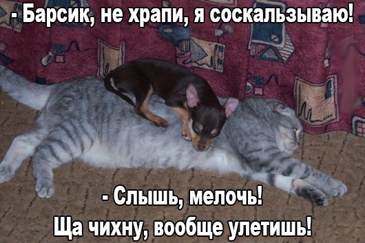 мелочь.jpg