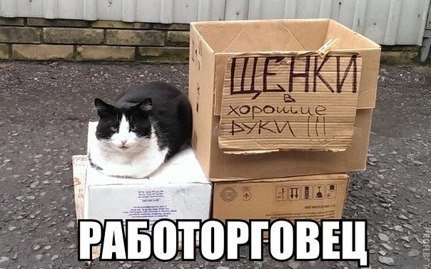 работорговец.jpg