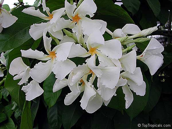image (26).jpg