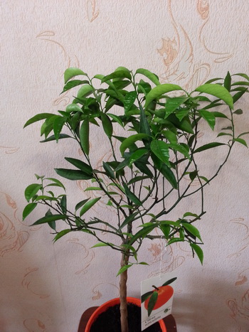 20160206_151348.jpg