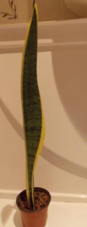 DSCN4577.JPG