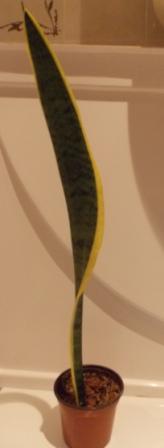 DSCN4578.JPG