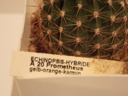 DSCN4643.JPG