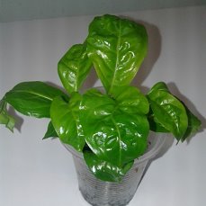 image (2).jpg