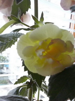 CAM00456.jpg