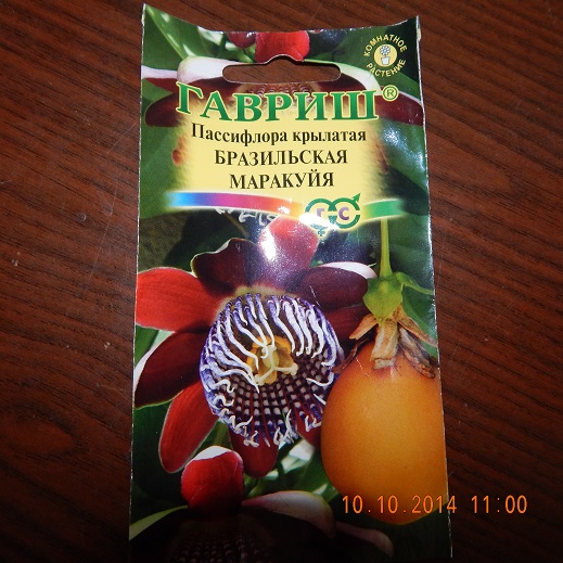 DSCN0932.JPG