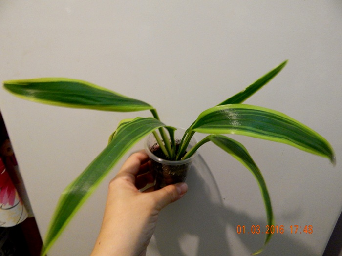 DSCN5875.JPG